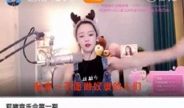 网红爆料卯哥视频播放,网红效应背后的播放奇迹